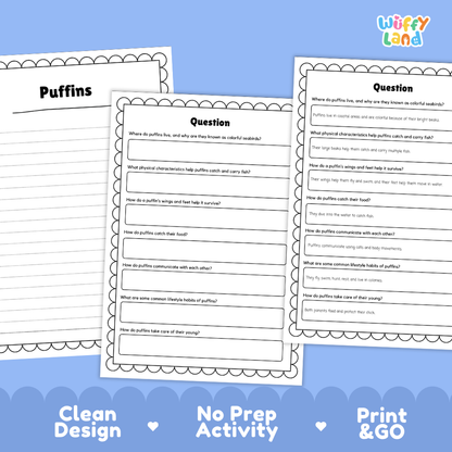 Puffins Reading Passage and Questions Worksheets with Answer Key