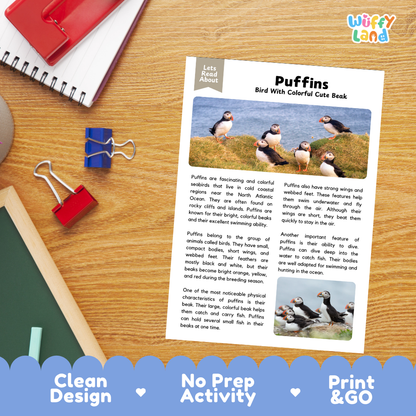 Puffins Reading Passage and Questions Worksheets with Answer Key