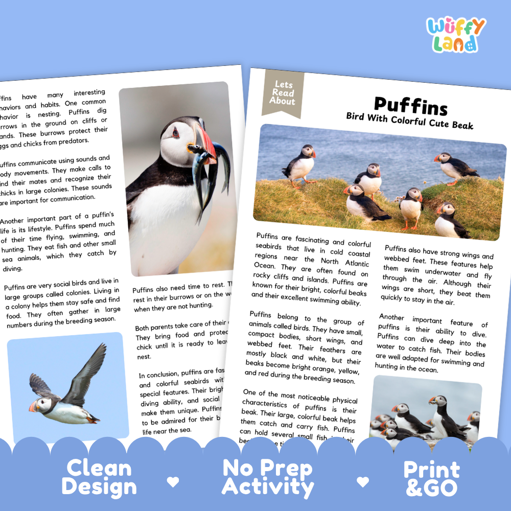 Puffins Reading Passage and Questions Worksheets with Answer Key