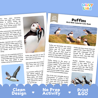 Puffins Reading Passage and Questions Worksheets with Answer Key