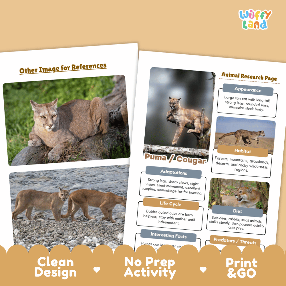 Puma and Cougar Animal Research Worksheets and Informational Fact Sheets