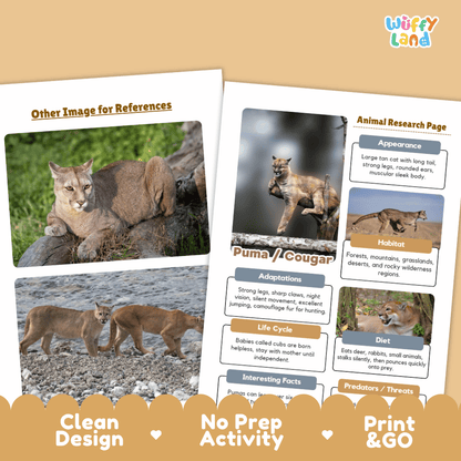 Puma and Cougar Animal Research Worksheets and Informational Fact Sheets