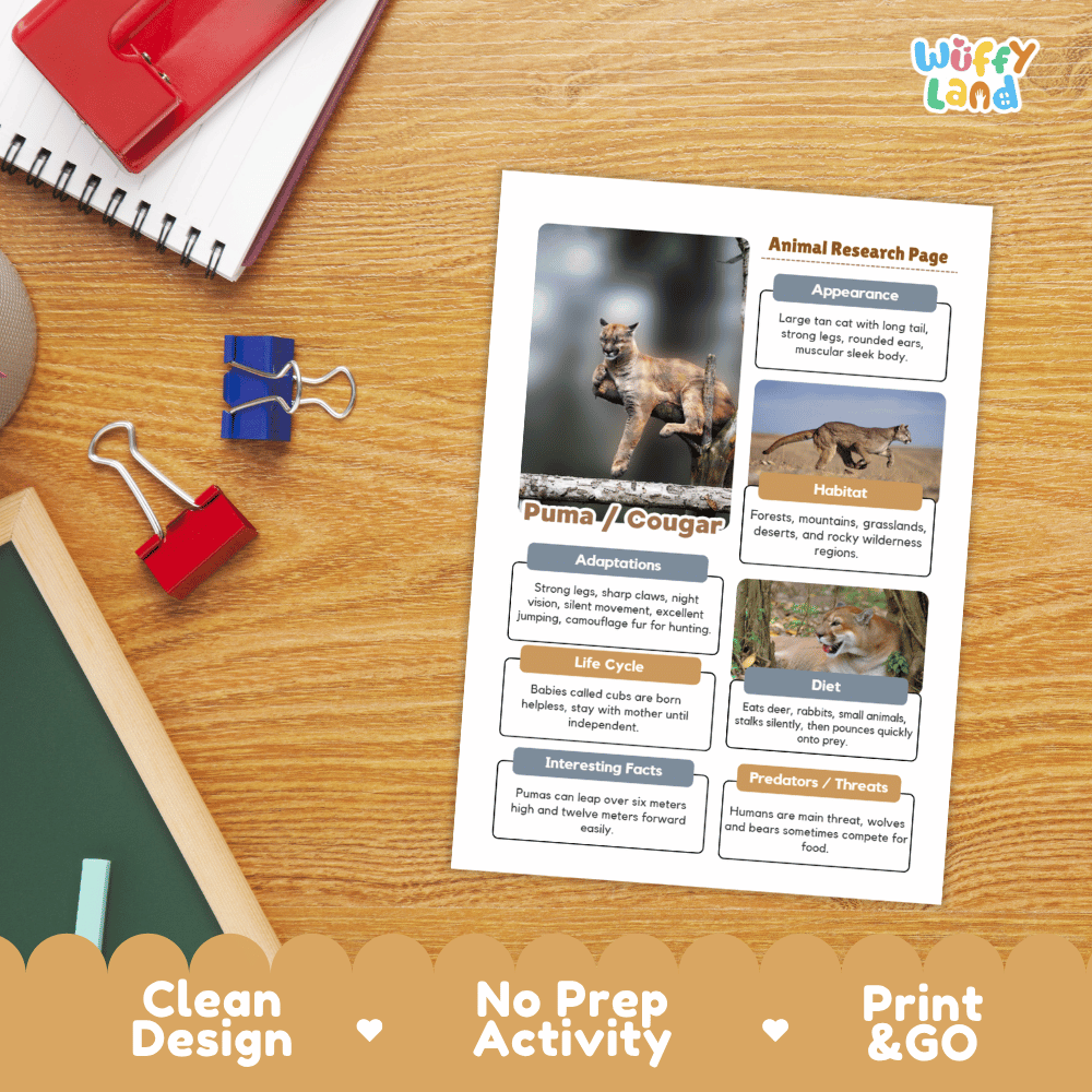 Puma and Cougar Animal Research Worksheets and Informational Fact Sheets