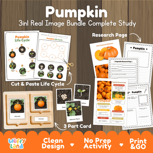 Pumpkin 3in1 real image bundle complete study printable featuring life cycle cut and paste worksheets, Montessori 3-part cards, and research pages