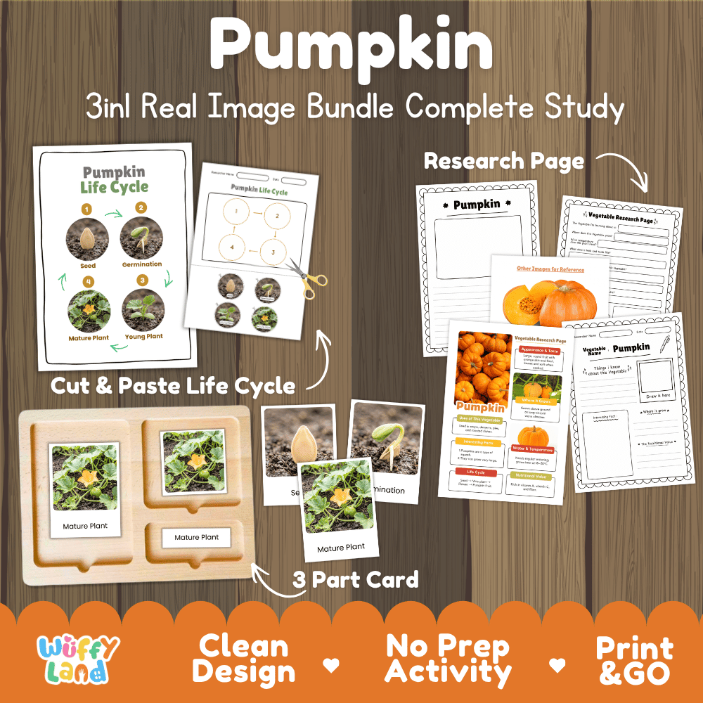 Pumpkin plant 3in1 real image bundle complete study printable featuring life cycle cut and paste worksheets, Montessori 3-part cards, and research pages