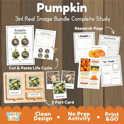Pumpkin plant 3in1 real image bundle complete study printable featuring life cycle cut and paste worksheets, Montessori 3-part cards, and research pages