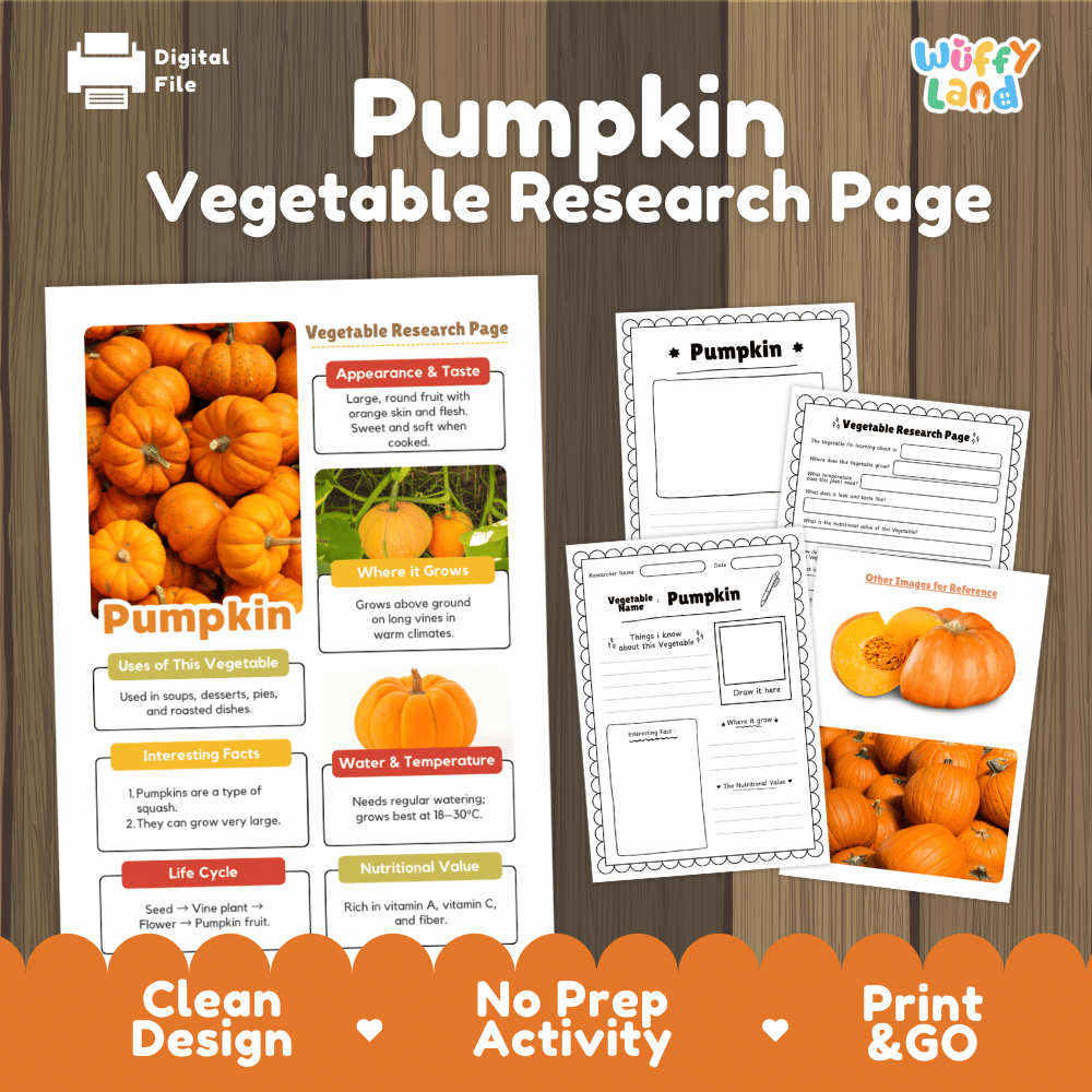 Student vegetable research page writing worksheets with real close up sliced orange pumpkin and farm patch photos, lined note-taking prompts, and drawing frames