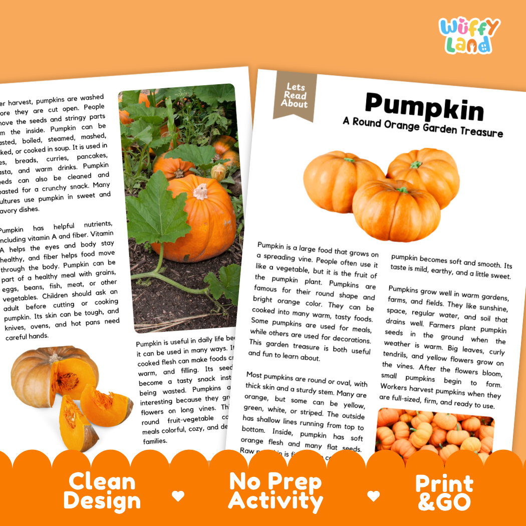 Teacher answer key page showing complete question solutions for pumpkin reading comprehension practice