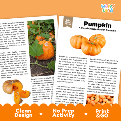 Teacher answer key page showing complete question solutions for pumpkin reading comprehension practice