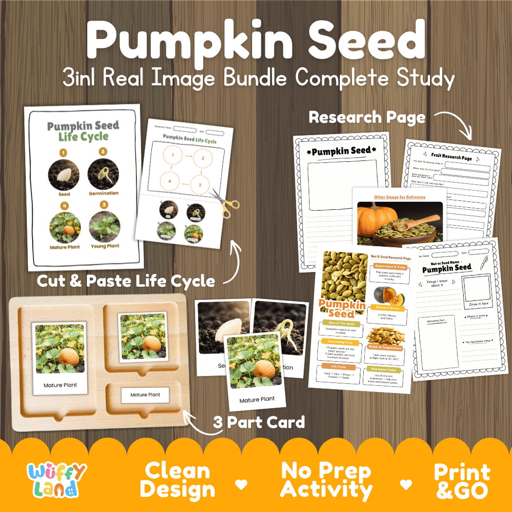 Complete Pumpkin Seed 3-in-1 real image study bundle featuring cut and paste worksheets, Montessori 3-part cards, and research pages 🎃🌱