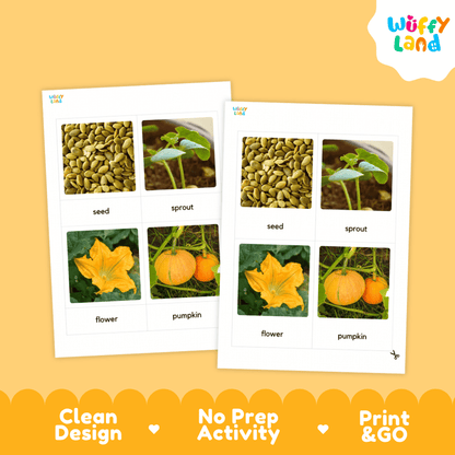 Two printable activity sheets from Wuffy Land showing labeled photos of seeds, sprouts, flowers, and pumpkins on a warm yellow background. The sheets are angled slightly, with promotional text along the bottom and the Wuffy Land logo in the top right corner.