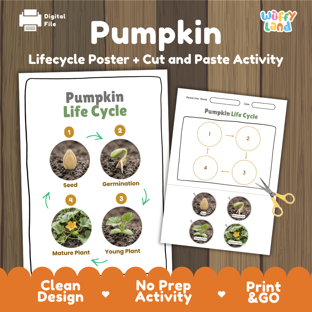 Pumpkin Life Cycle Poster and Cut and Paste Worksheet Activity