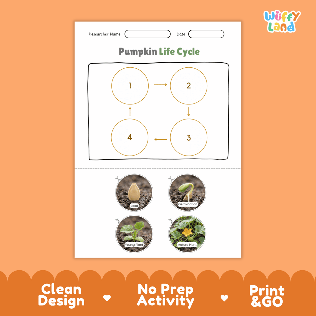 Pumpkin Life Cycle Poster and Cut and Paste Worksheet Activity