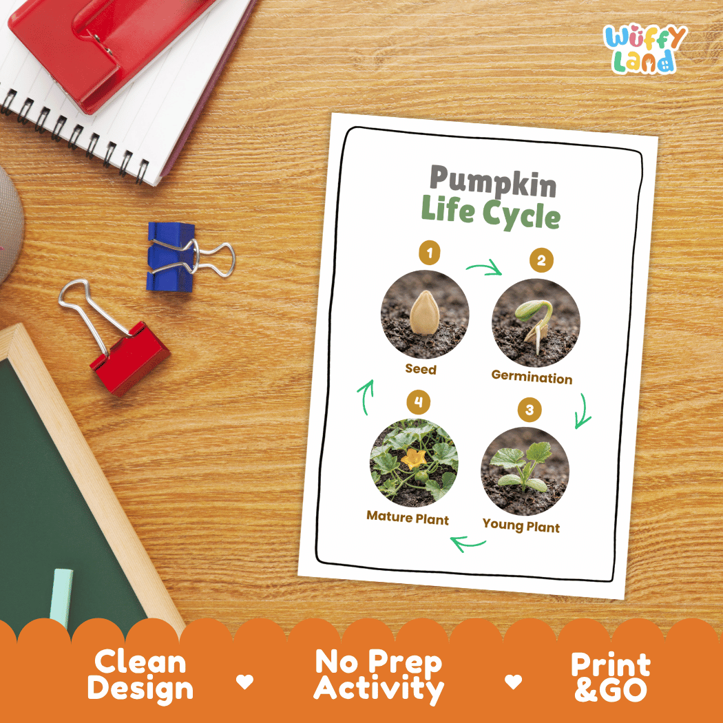 Pumpkin Life Cycle Poster and Cut and Paste Worksheet Activity