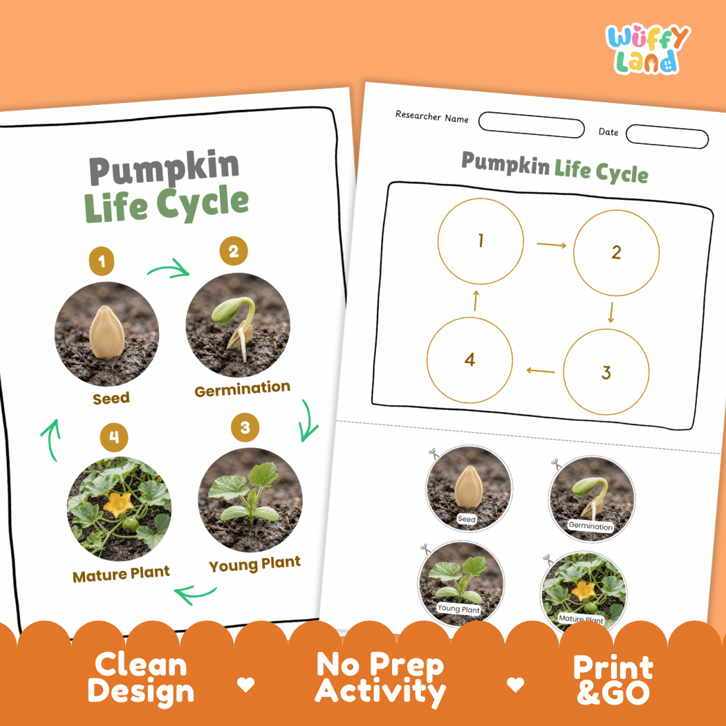 Pumpkin Life Cycle Poster and Cut and Paste Worksheet Activity