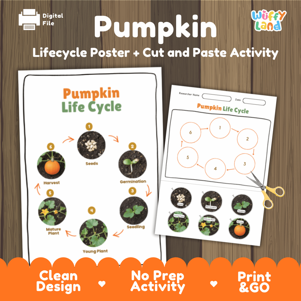 Pumpkin Lifecycle Poster and Cut and Paste Activity Worksheets | Plant Science Printables