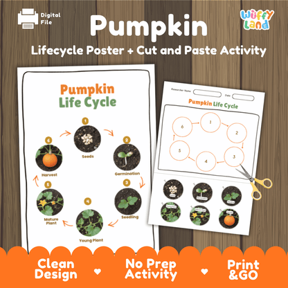 Pumpkin Lifecycle Poster and Cut and Paste Activity Worksheets | Plant Science Printables