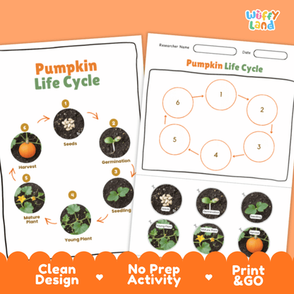 Pumpkin Lifecycle Poster and Cut and Paste Activity Worksheets | Plant Science Printables