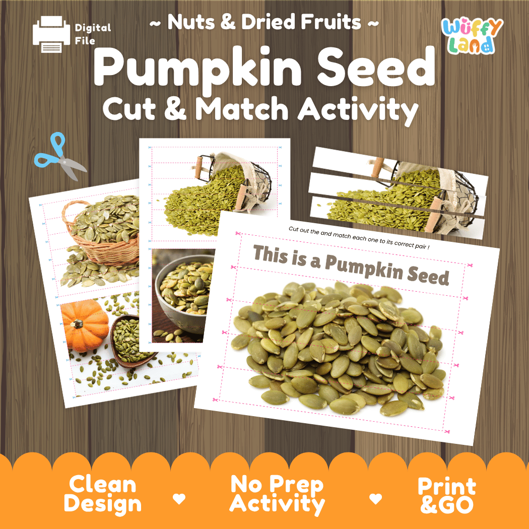 Pumpkin Seed Cut and Match Activity Worksheets | Nuts and Dried Fruits Puzzle Printables