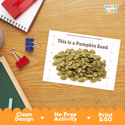 Pumpkin Seed Cut and Match Activity Worksheets | Nuts and Dried Fruits Puzzle Printables