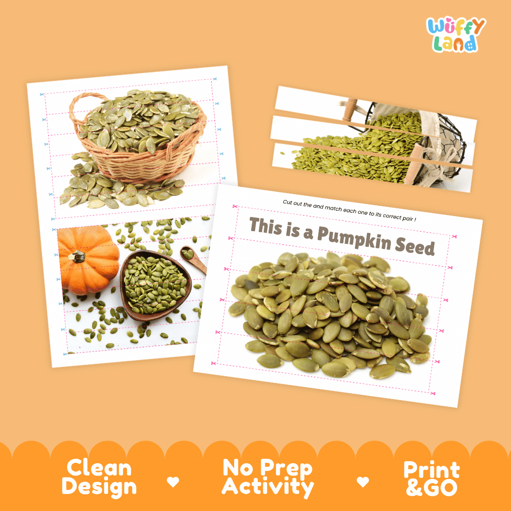 Pumpkin Seed Cut and Match Activity Worksheets | Nuts and Dried Fruits Puzzle Printables