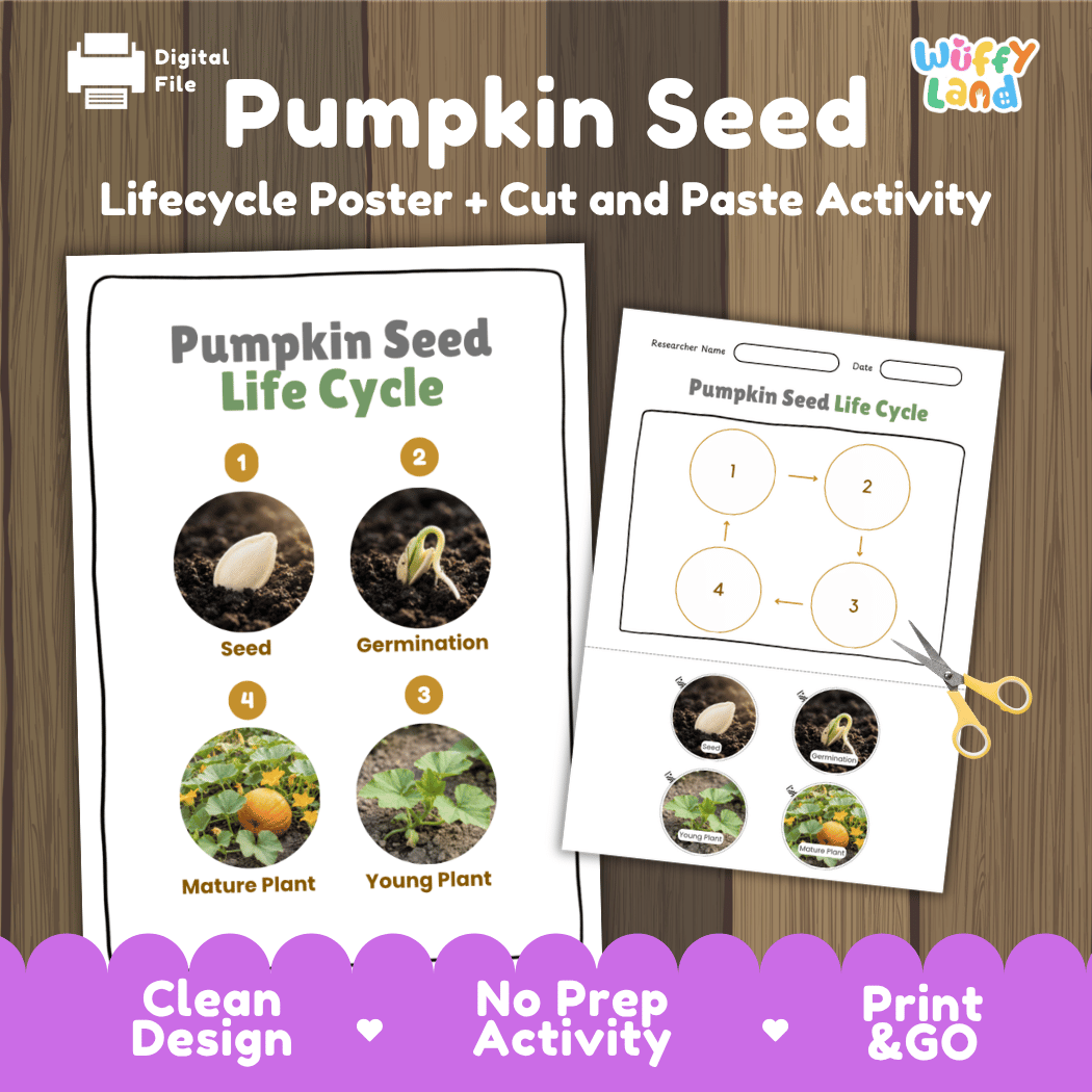 Pumpkin Seed Life Cycle Poster and Cut and Paste Activity Worksheets