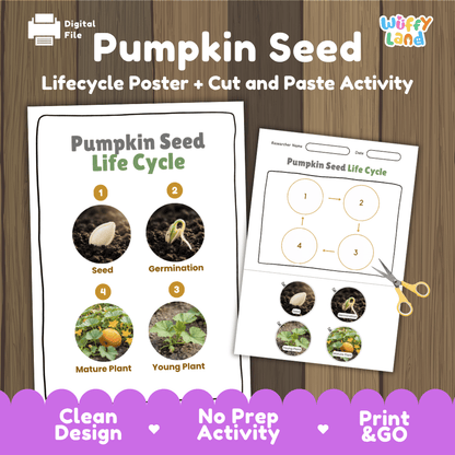 Pumpkin Seed Life Cycle Poster and Cut and Paste Activity Worksheets