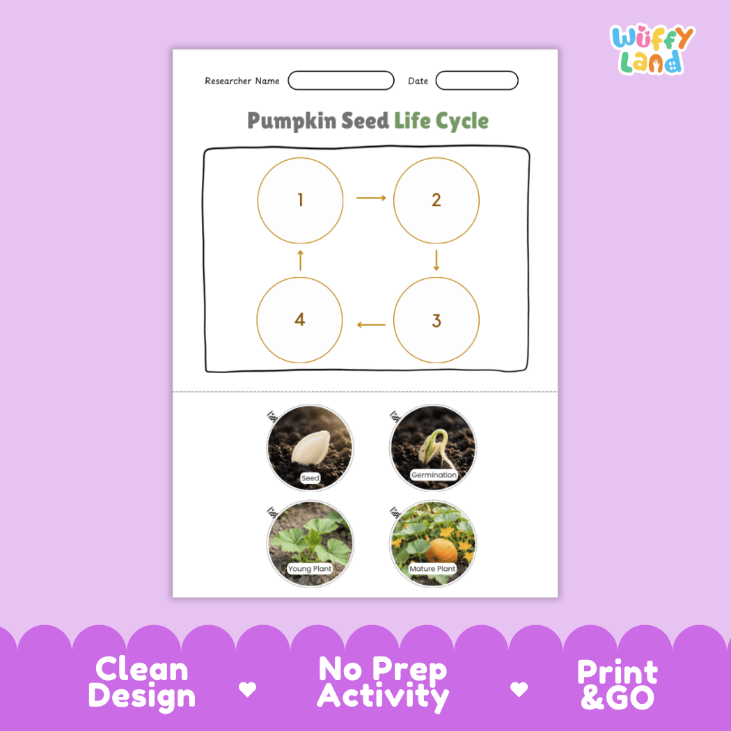Pumpkin Seed Life Cycle Poster and Cut and Paste Activity Worksheets
