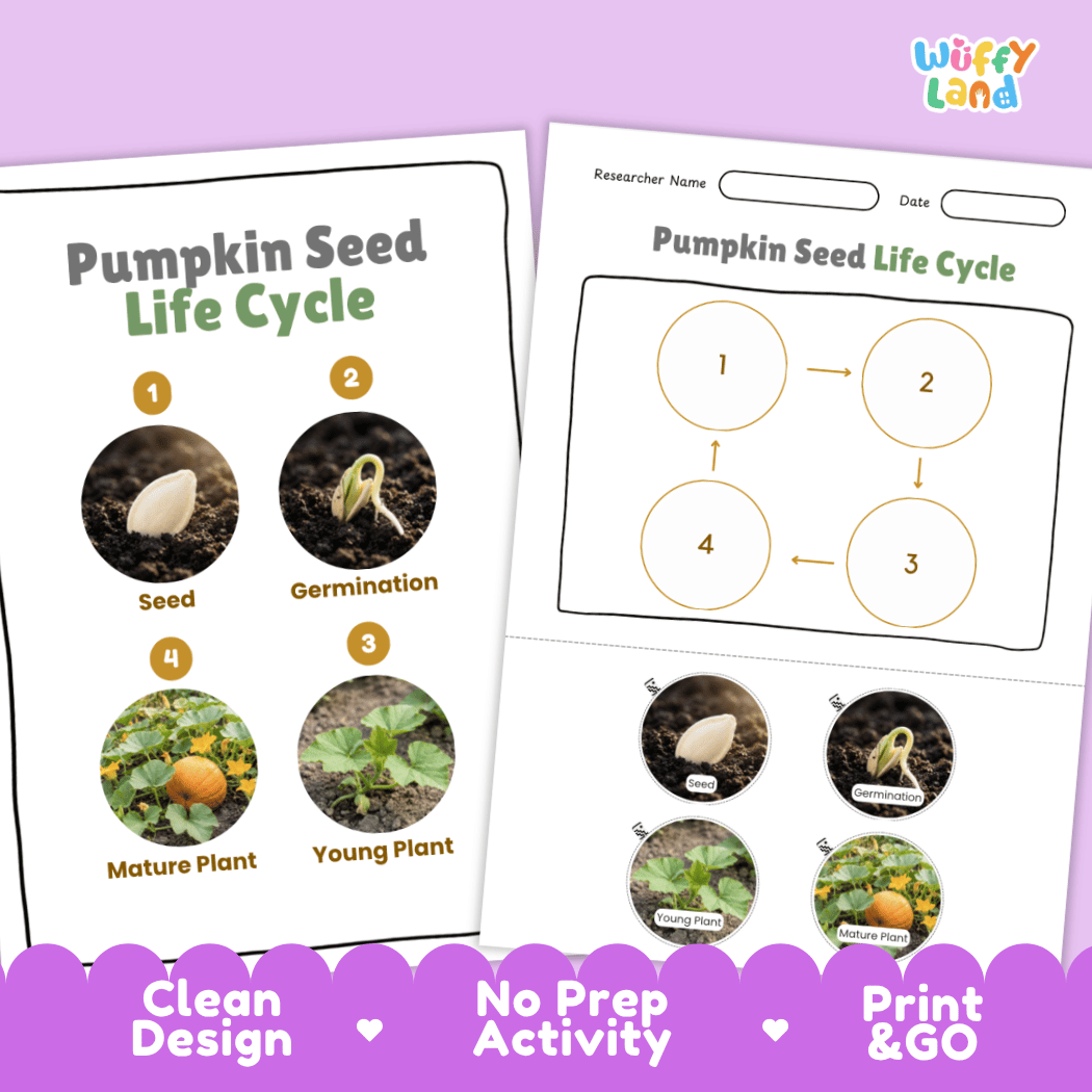 Pumpkin Seed Life Cycle Poster and Cut and Paste Activity Worksheets