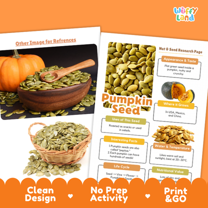 Pumpkin Seed Nut and Seed Research Page Worksheets