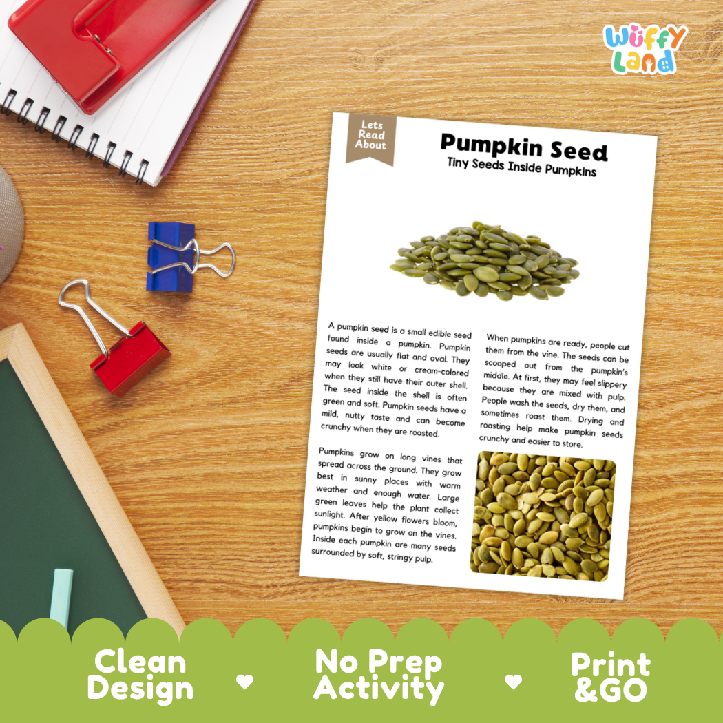 Pumpkin Seed Reading Passage and Comprehension Questions with Answer Key Worksheets