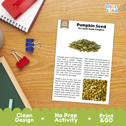 Pumpkin Seed Reading Passage and Comprehension Questions with Answer Key Worksheets