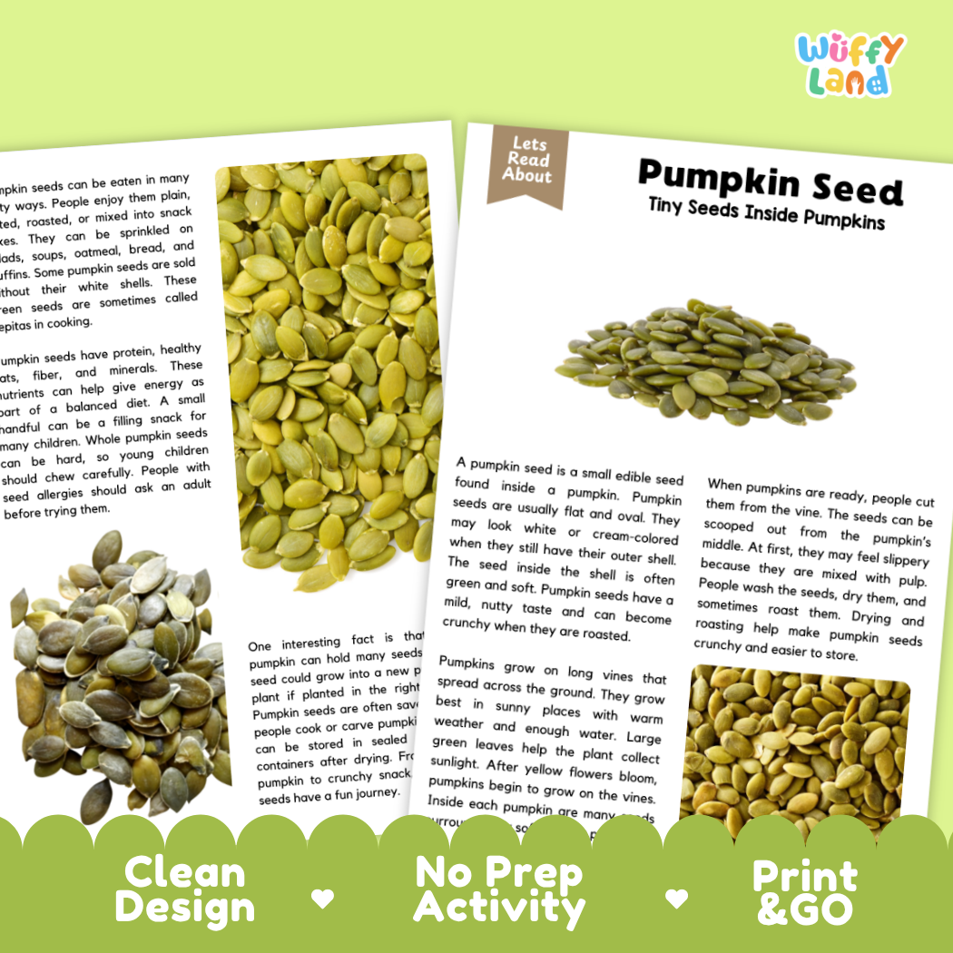 Pumpkin Seed Reading Passage and Comprehension Questions with Answer Key Worksheets