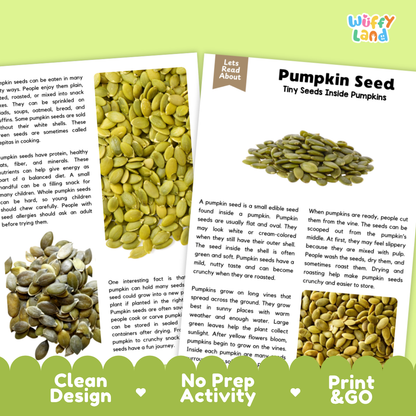 Pumpkin Seed Reading Passage and Comprehension Questions with Answer Key Worksheets