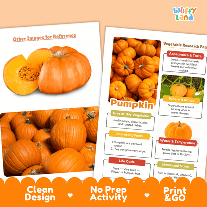 Pumpkin Vegetable Research Page Science Worksheets and Fact Sheet