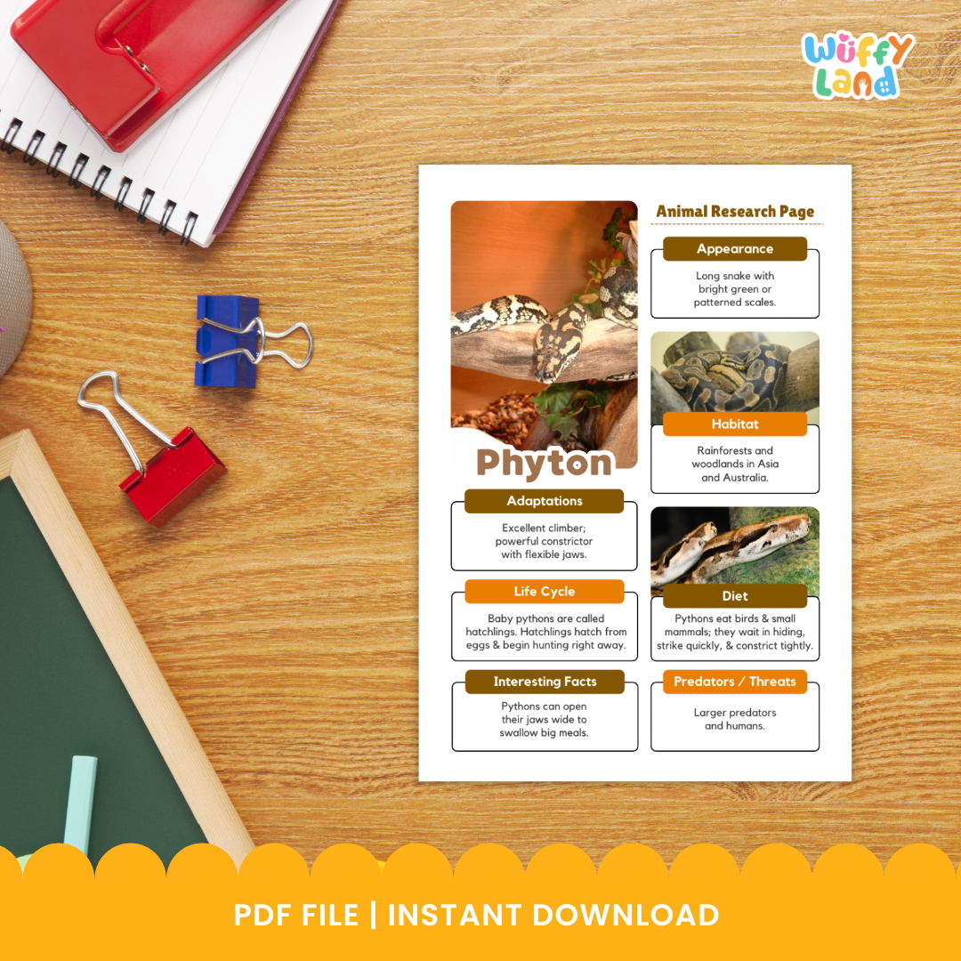 A printable Python Animal Research Project set featuring worksheets and reference images to help students study and record facts about pythons. Includes pages for writing information about appearance, habitat, diet, life cycle, and adaptations, along with templates for note-taking and drawing. Designed as a classroom science activity for kids learning about reptiles.