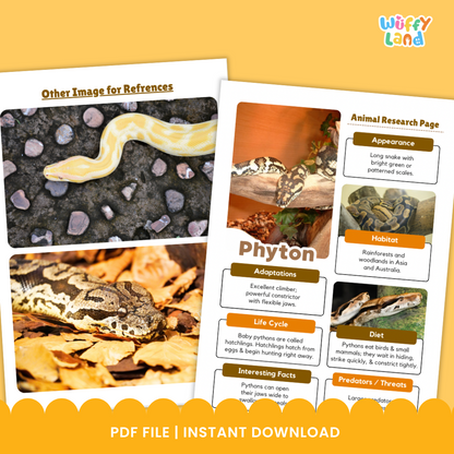 A printable Python Animal Research Project set featuring worksheets and reference images to help students study and record facts about pythons. Includes pages for writing information about appearance, habitat, diet, life cycle, and adaptations, along with templates for note-taking and drawing. Designed as a classroom science activity for kids learning about reptiles.