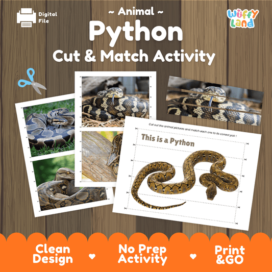 Python Cut and Match Activity Worksheets | Reptile Animal Puzzle Printables