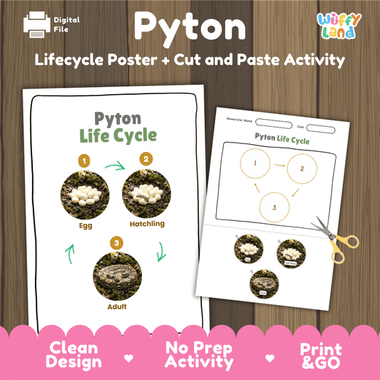 Python Life Cycle Poster and Cut and Paste Activity Worksheet