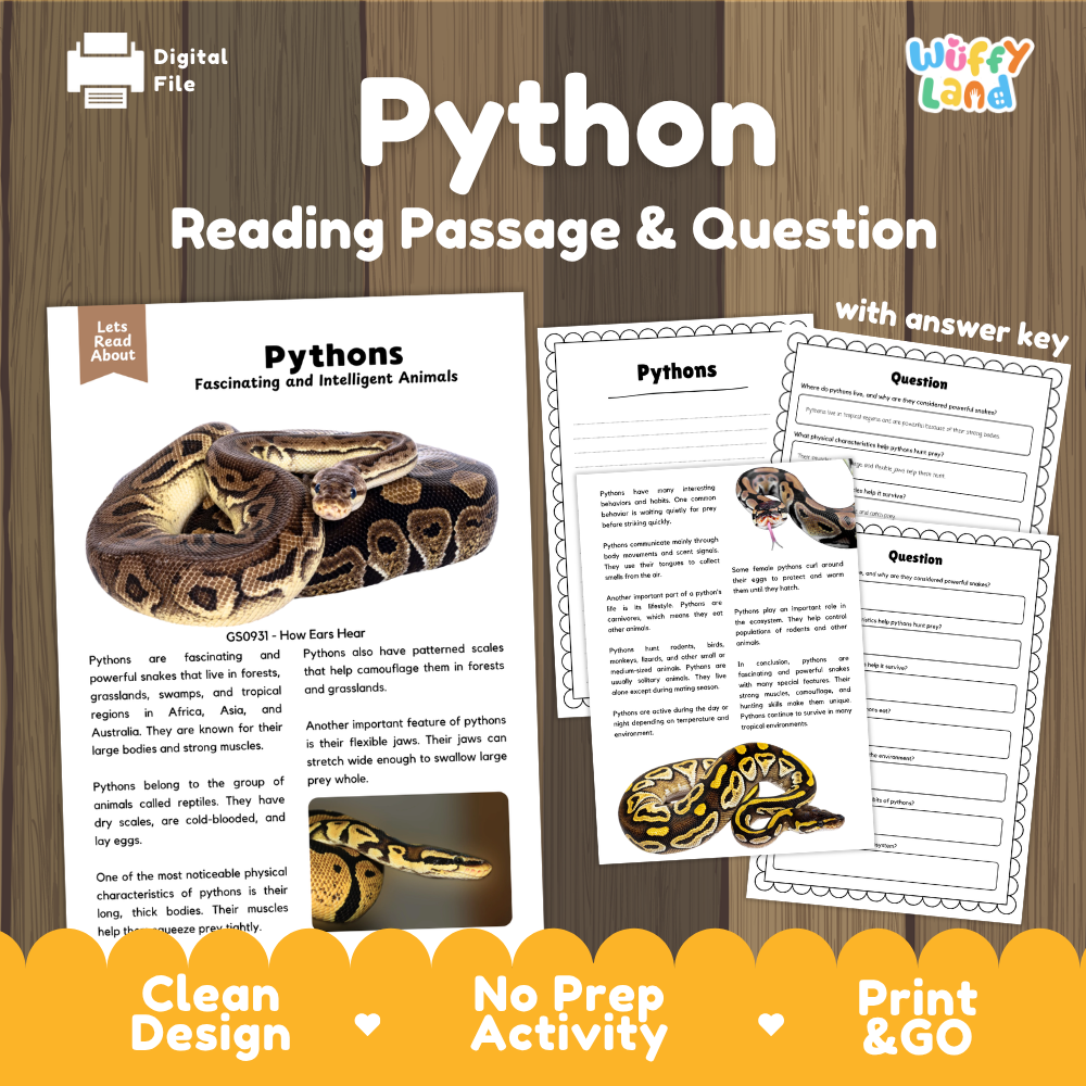 Digital download activity sheet for teaching Python reading comprehension, featuring a snake illustration, sample text passages, multiple-choice questions, and an answer key layout on a wood background with 'Wiffly Land' branding.