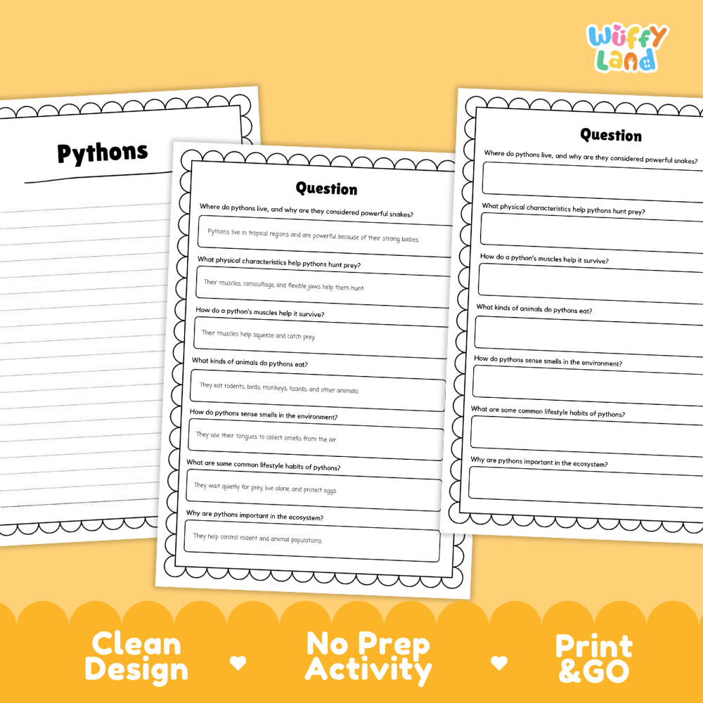 Three printable worksheet pages about pythons displayed on a yellow background with promotional text reading 'Clean Design', 'No Prep Activity', and 'Print & GO'. The worksheets have black text on white paper with decorative scalloped borders and a colorful 'Wiffly Land' logo in the top right.