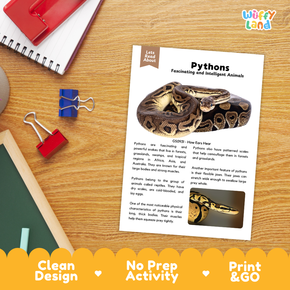 An educational activity sheet titled 'Pythons Fascinating and Intelligent Animals' laid out on a wooden desk. The sheet features text, diagrams, and photos of a python.