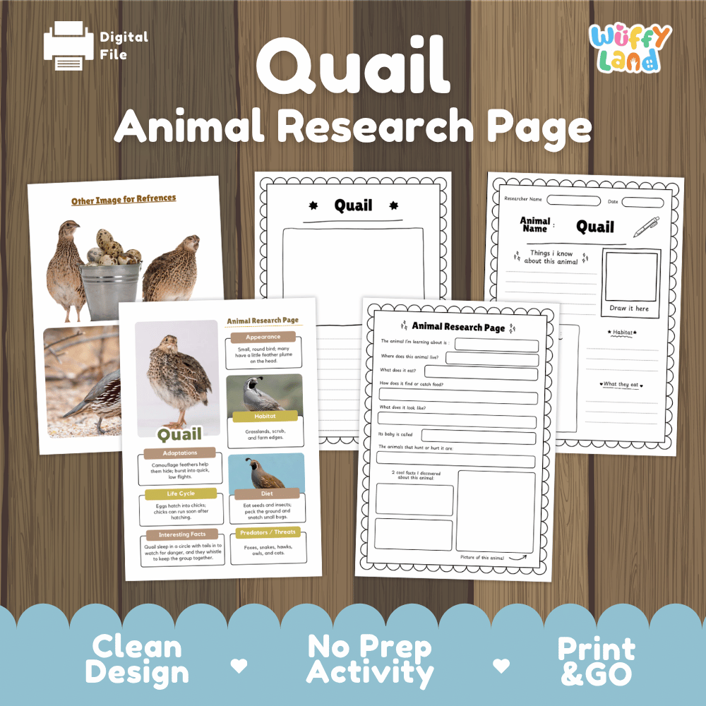 Digital preview of a 'Quail Animal Research Page' activity sheet set by Wiffly Land, displayed on a wood-grain background with a blue scalloped footer banner highlighting key features.