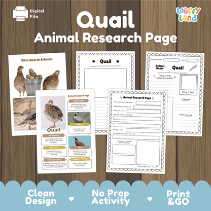 Digital preview of a 'Quail Animal Research Page' activity sheet set by Wiffly Land, displayed on a wood-grain background with a blue scalloped footer banner highlighting key features.