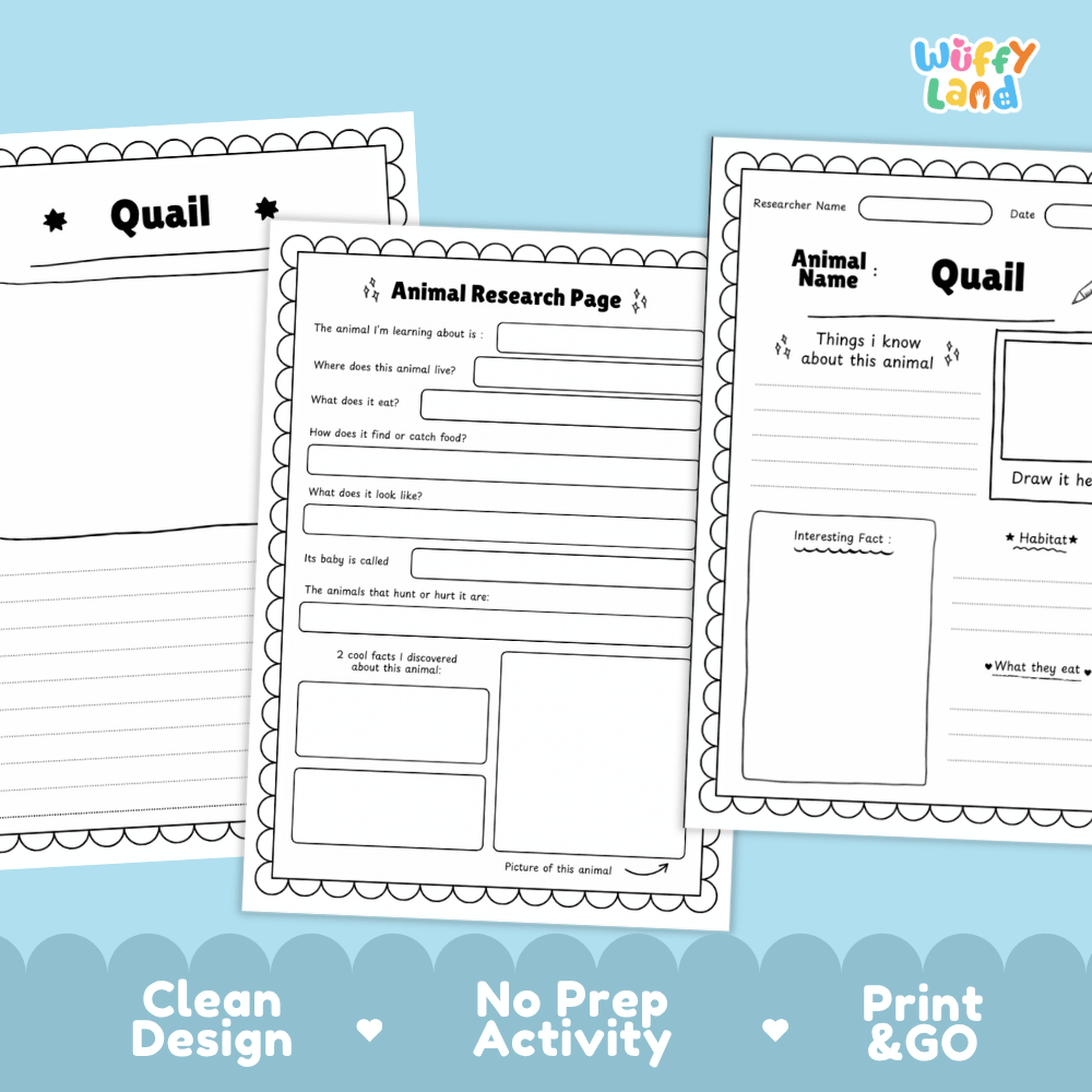 Three printable worksheet pages for an animal research activity are shown on a light blue background. The pages are labeled 'Quail' and 'Animal Research Page' with writing boxes and drawing areas.