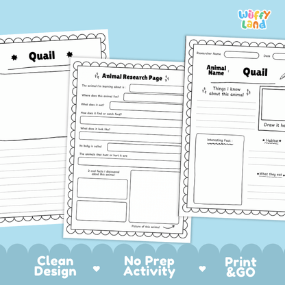 Three printable worksheet pages for an animal research activity are shown on a light blue background. The pages are labeled 'Quail' and 'Animal Research Page' with writing boxes and drawing areas.