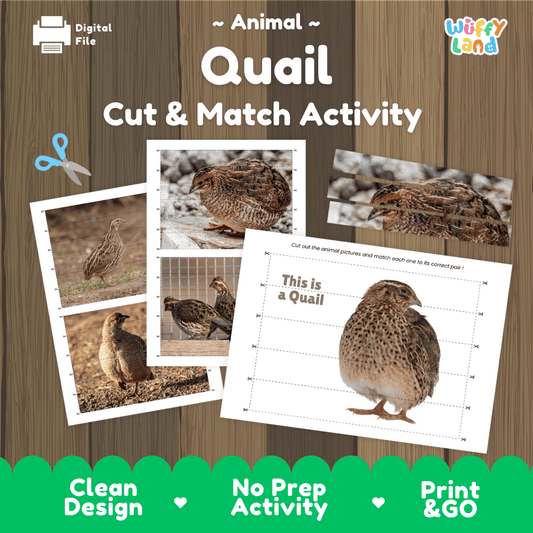 Quail Cut and Match Activity Worksheets | Bird Puzzle Printables