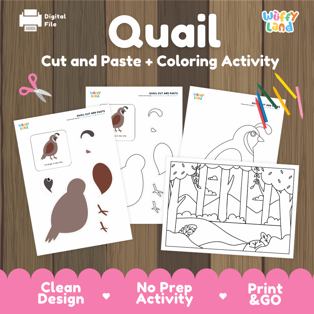 Quail Cut and Paste Craft and Coloring Activity Worksheets