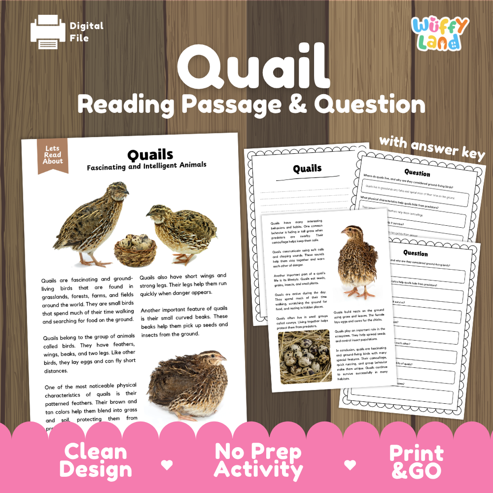 Digital reading activity sheet set for 'Quail' by Wiffly Land, featuring a reading passage, comprehension questions, and an answer key displayed on a wood-grain background with promotional text at the bottom.