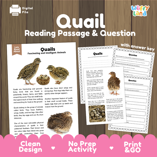 Digital reading activity sheet set for 'Quail' by Wiffly Land, featuring a reading passage, comprehension questions, and an answer key displayed on a wood-grain background with promotional text at the bottom.